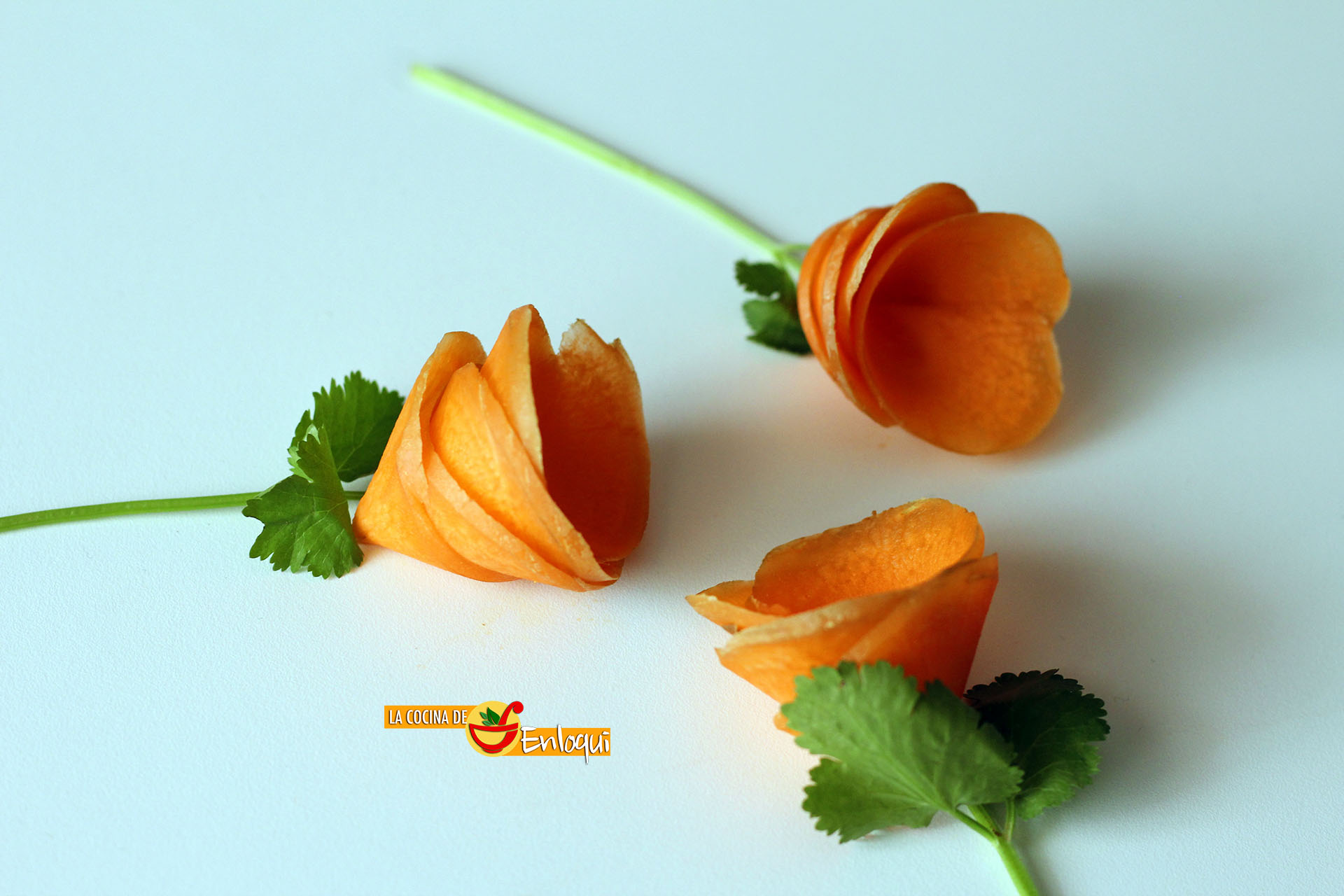 Flores de zanahoria