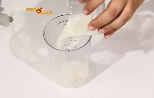 Mayonesa de mango