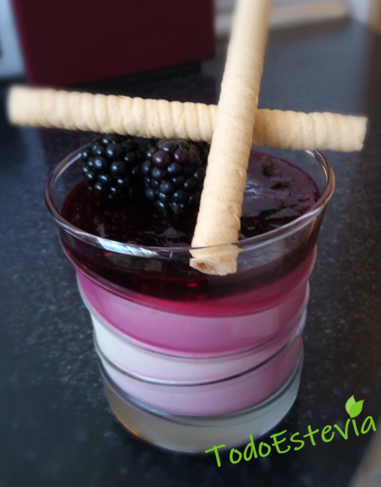 Pannacotta casera sin azúcar